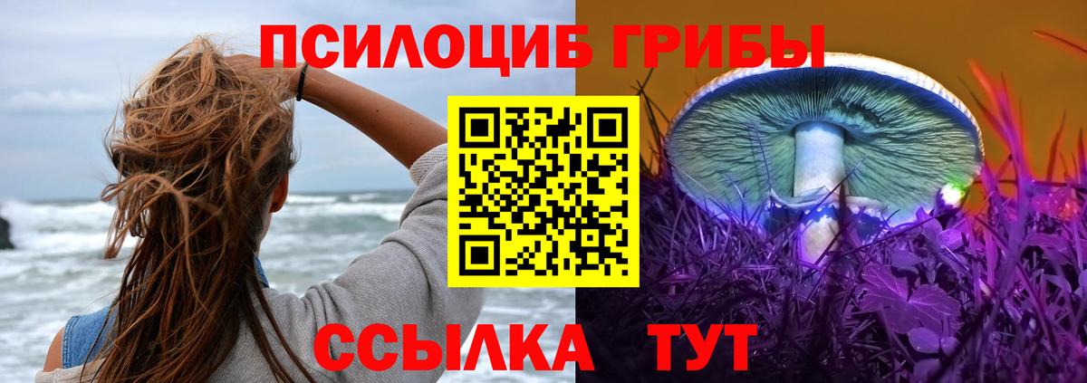 Донецк  Галлюциногенные грибы Psilocybe  Вход с VPN 